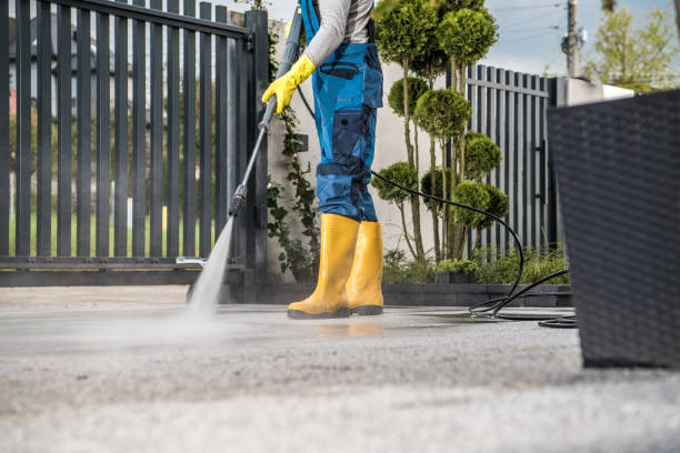 Best Graffiti Removal  in Dale City, VA